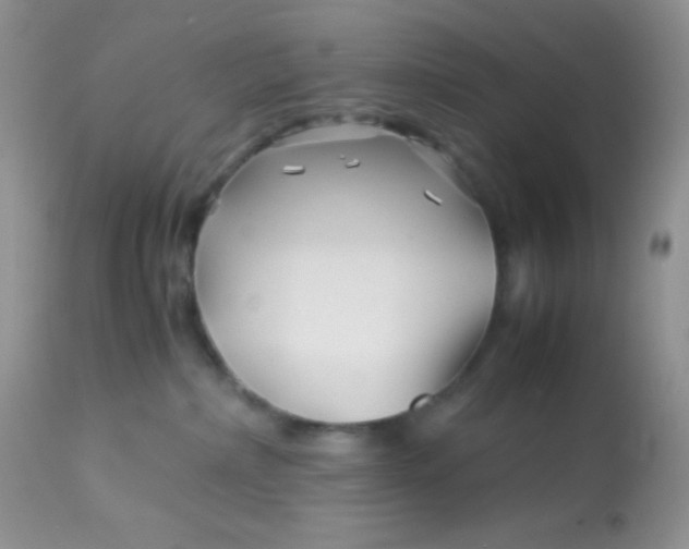 X0000113090236200909182122