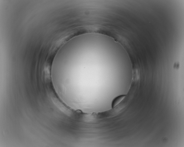 X0000113090238200909182122