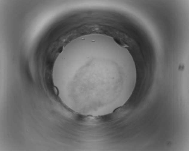 X0000113090239200909182122