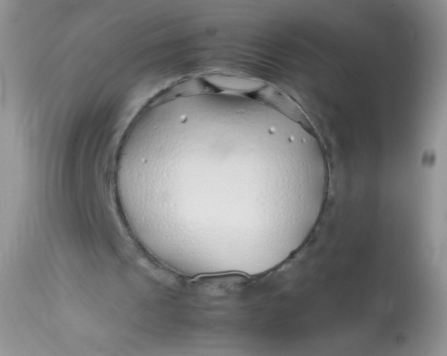 X0000113090241200909182121