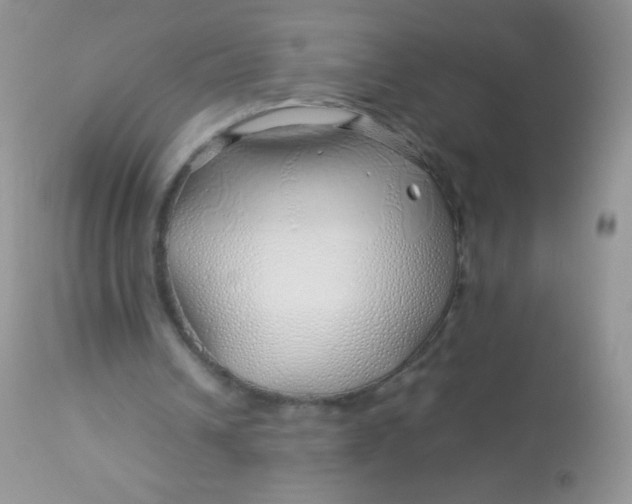 X0000113090242200909182121