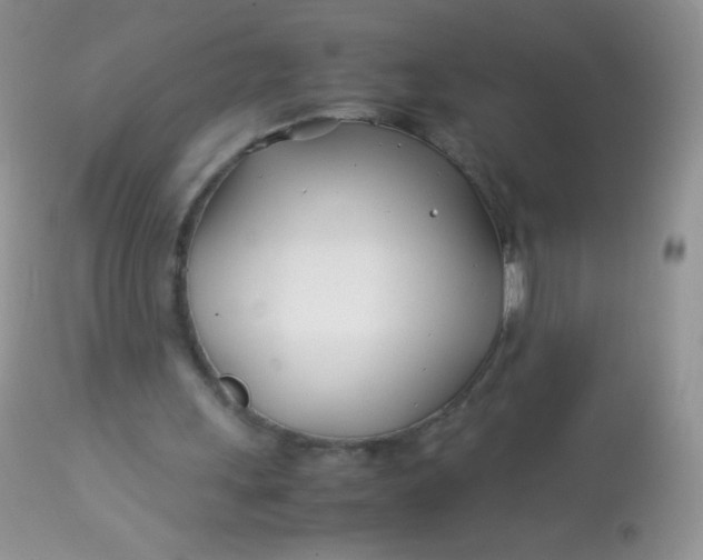 X0000113090243200909182121