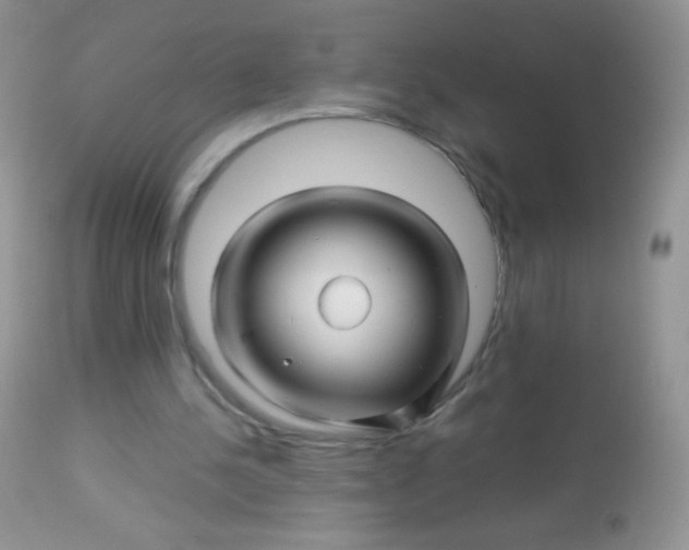 X0000113090244200909182121