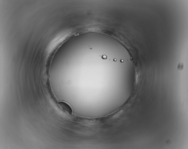 X0000113090245200909182121