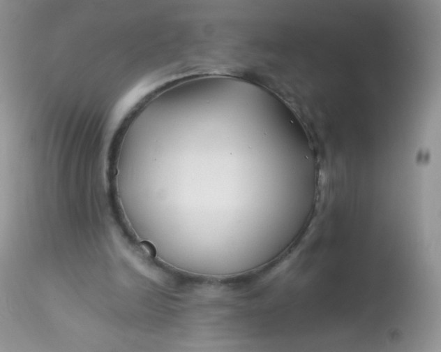 X0000113090246200909182121