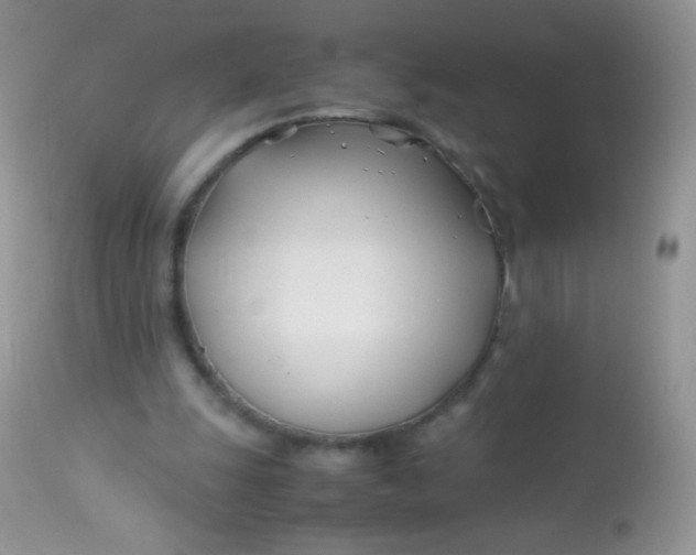 X0000113090247200909182121