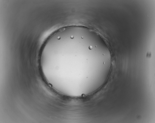 X0000113090248200909182121