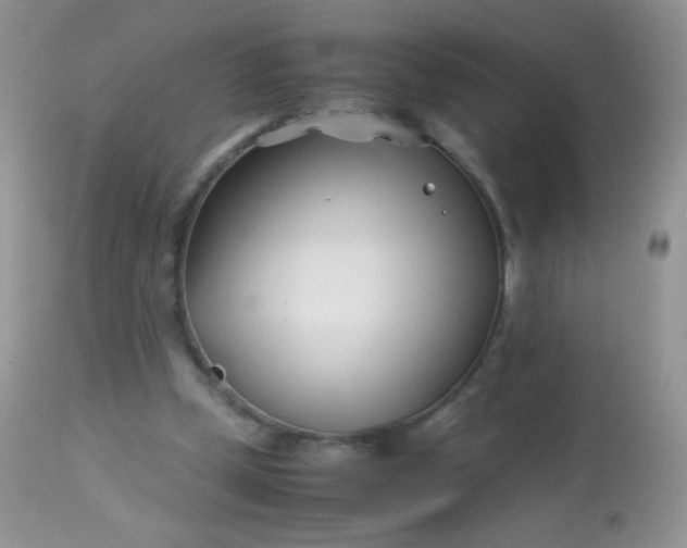 X0000113090249200909182121