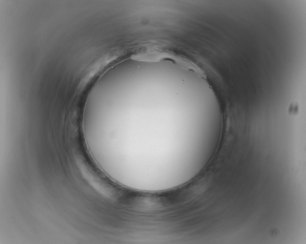 X0000113090250200909182121