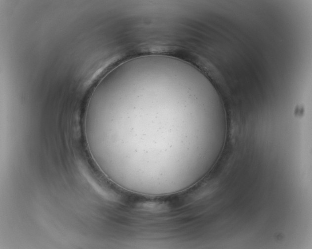 X0000113090251200909182121