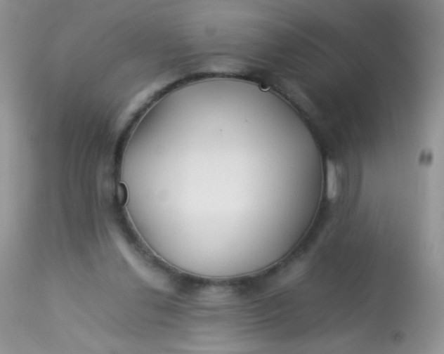 X0000113090252200909182121