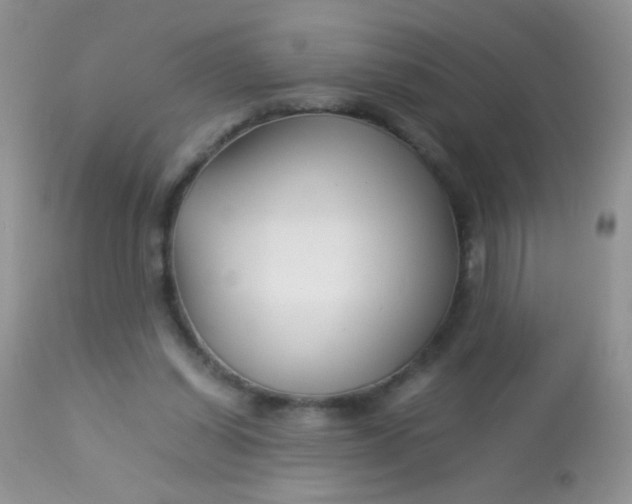 X0000113090254200909182121