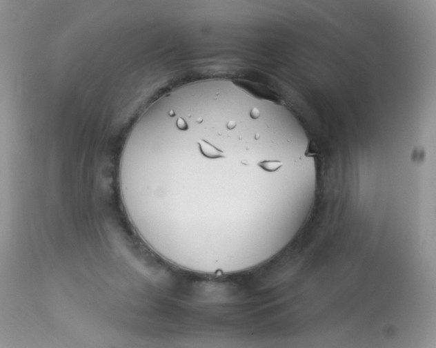 X0000113090255200909182121