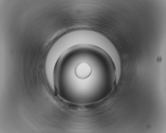 X0000113090256200909182121