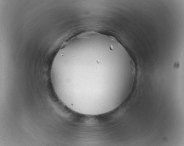 X0000113090258200909182121