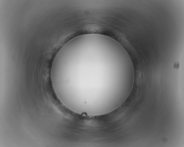 X0000113090259200909182121