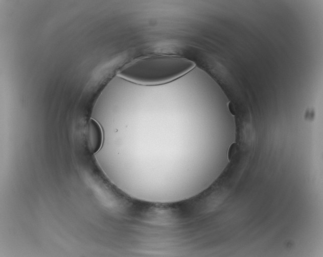 X0000113090260200909182121