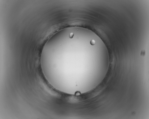 X0000113090261200909182121