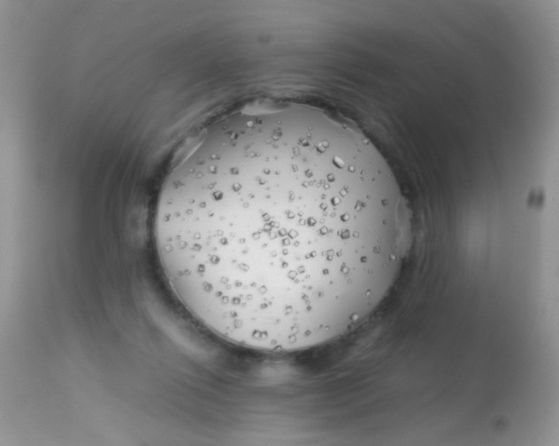 X0000113090262200909182121