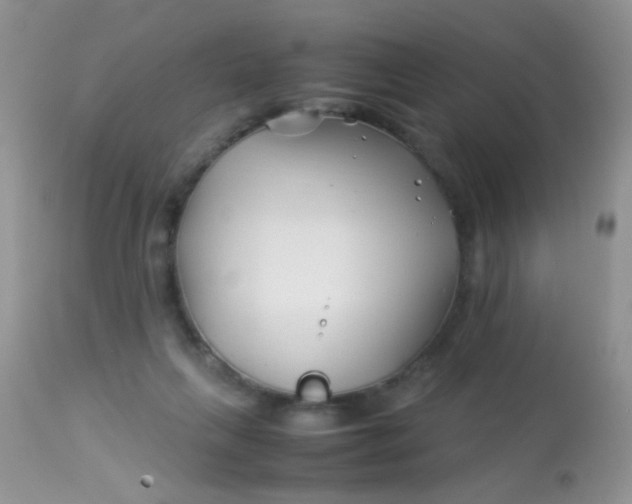 X0000113090263200909182121