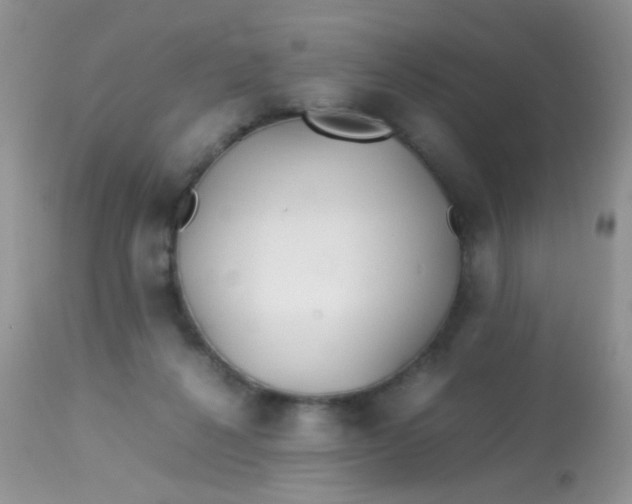 X0000113090264200909182121