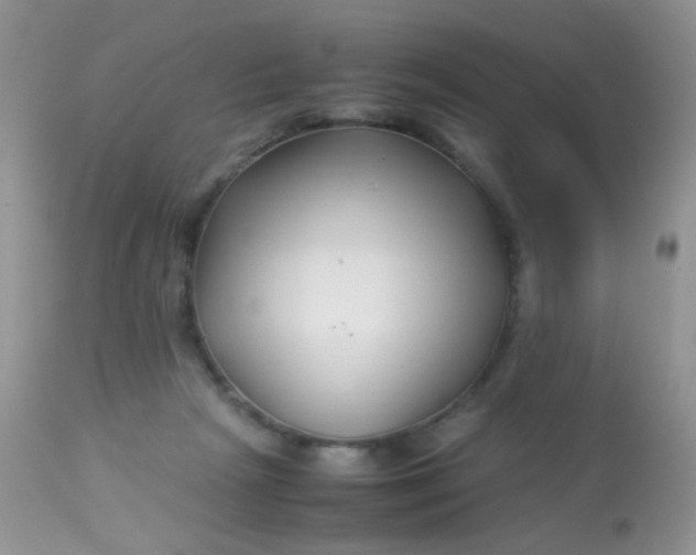 X0000113090265200909182121