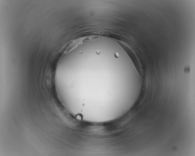 X0000113090266200909182121