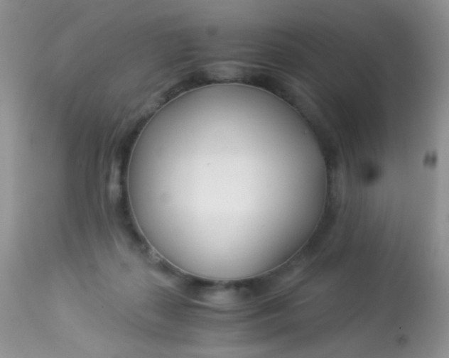 X0000113090267200909182121