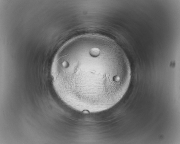 X0000113090268200909182121