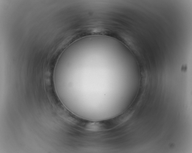 X0000113090269200909182121