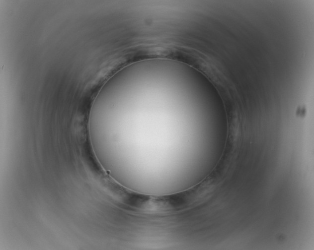 X0000113090270200909182121