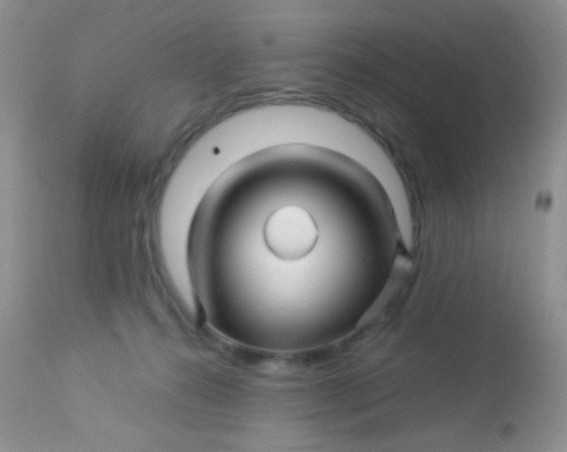 X0000113090272200909182121