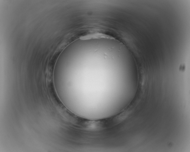 X0000113090273200909182121