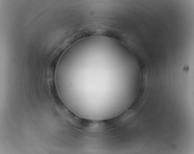 X0000113090274200909182121