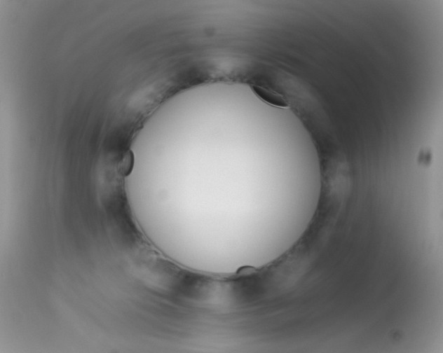 X0000113090276200909182121