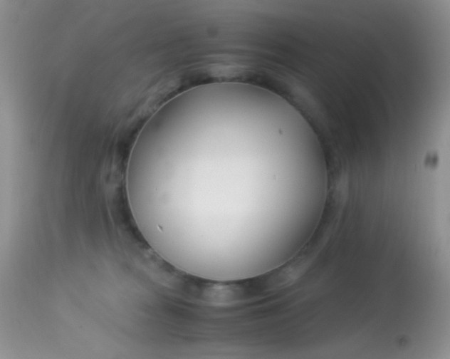 X0000113090277200909182121