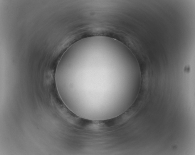 X0000113090278200909182121