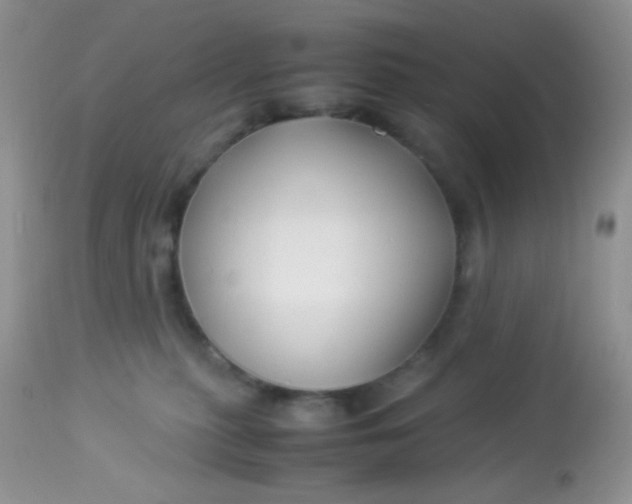 X0000113090279200909182121