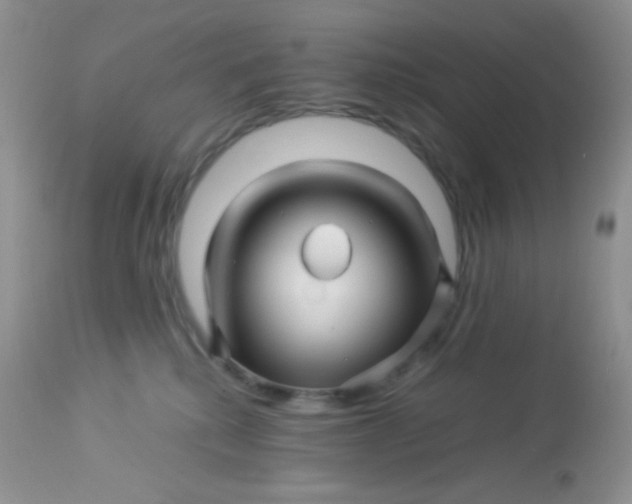 X0000113090280200909182121