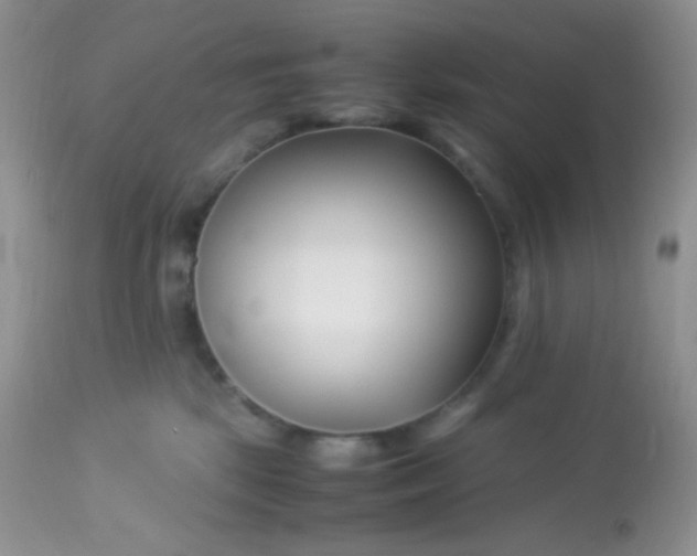 X0000113090281200909182122