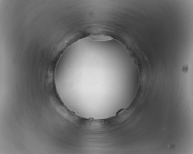 X0000113090282200909182122