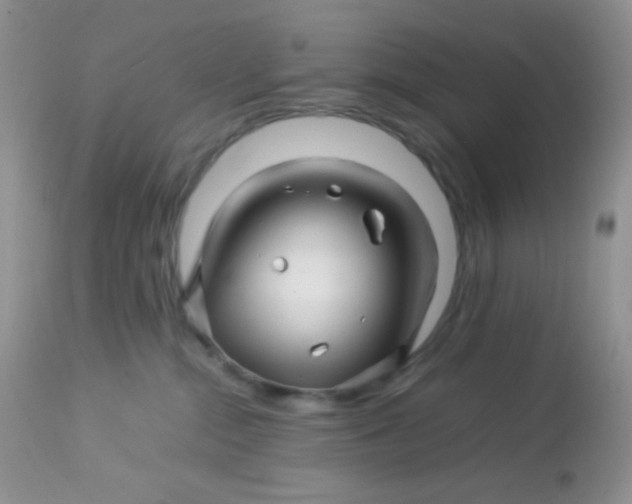 X0000113090284200909182122