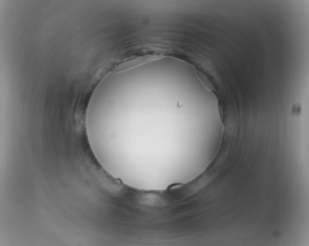 X0000113090285200909182122