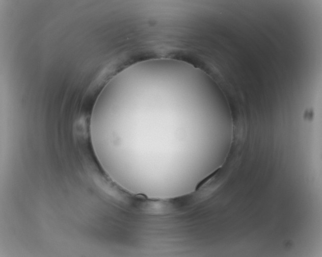 X0000113090286200909182122