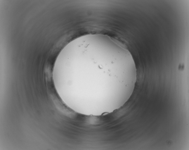 X0000113090287200909182122