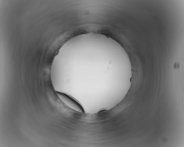 X0000113090288200909182122