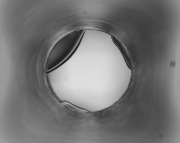 X0000113090289200909182121