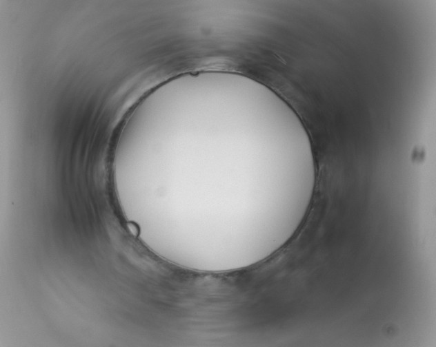 X0000113090290200909182121