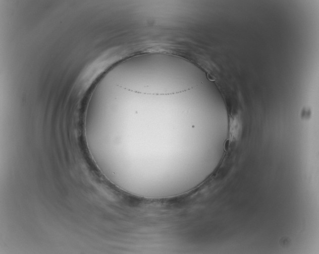 X0000113090291200909182121