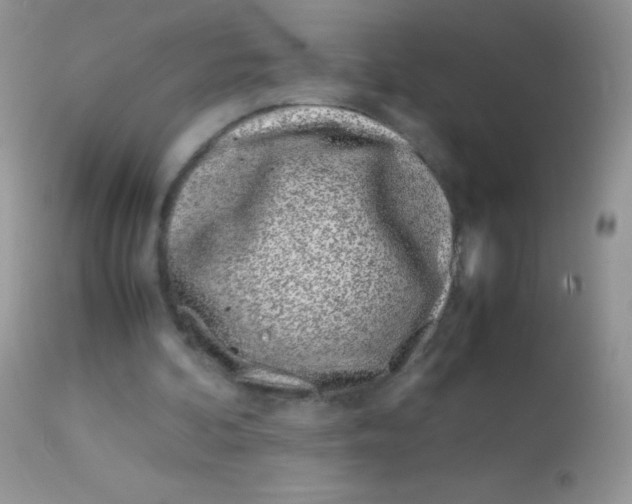 X0000113090292200909182121